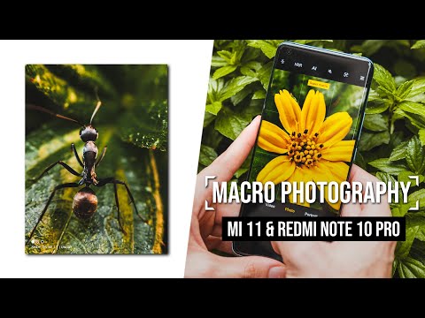 Professional Macro Photography with the Xiaomi Mi 11 & Redmi Note 10 Pro!