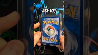 Would you add this Raboot to your collection? #pokemontcg #shorts #pokemoncards #pokemoncommunity