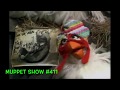 Muppet Songs Muppet Chickens Wash That Rain