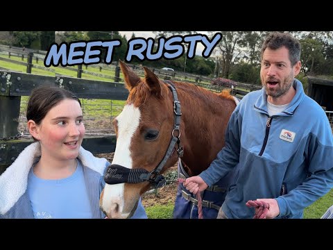 ALIYAH got her DREAM PONY and DAD MEETS HIM for the FIRST TIME