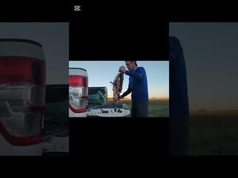 Pesca variada en arroyo azul, cachari pcia de Buenos Aires 