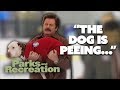 GET ON YOUR FEET Parks And Recreation Comedy Bites