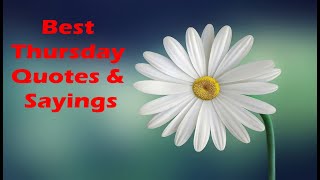 Thursday quotes and sayings | Thursday quotes of the day | Happy Thursday Quotes
