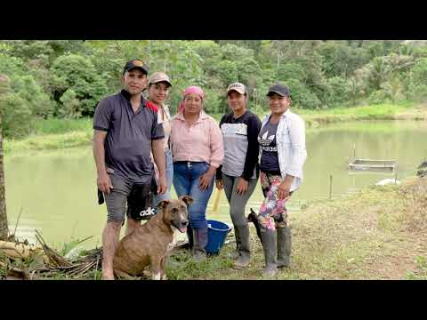 Piscicultura campesina de Cachama, Tilapia y Pirarucú sostenible | Putumayo Colombia 🐟