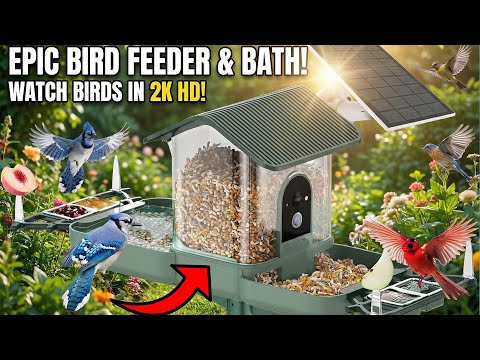 This Bird Feeder Has TWICE The Camera for Twice the Birds!