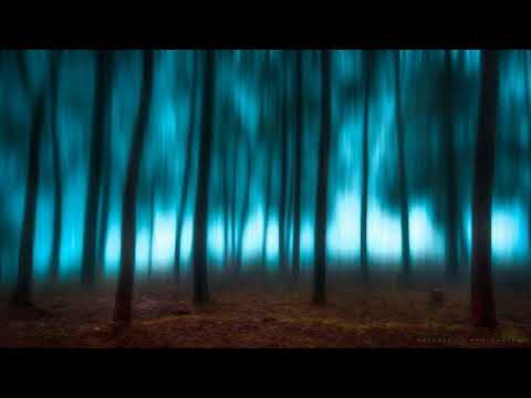 FREE SCARLXRD x PRXJEK x sℒen x GOTH Type Beat "Call of the Sun" (Prod.By XenusB)