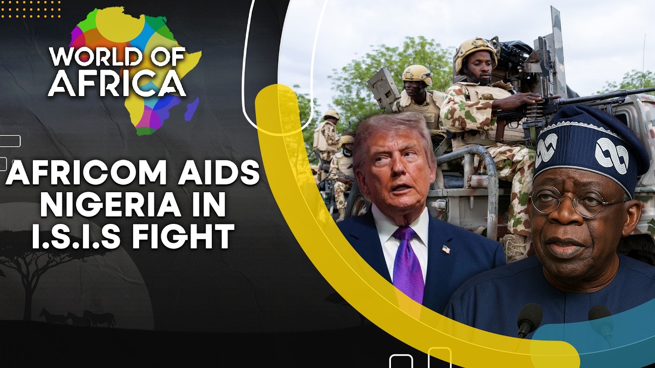 LIVE: US Military Rapid Campaign Against Isil Fighters in Nigeria | World Of Africa | WION