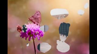 Shangly Joe   Old School Lounge   01   Cycling   110 BPM   Deep House Vocals