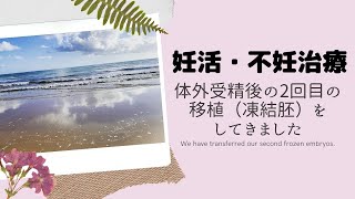 【妊活】体外受精後の2回目の移植（凍結胚）をしてきました