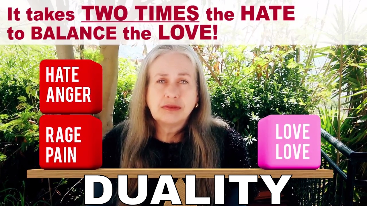DUALITY & NEUTRALITY Within This Matrix   Simulation