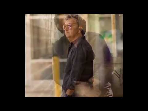 Zijo Cerimovic   Golubica COVER