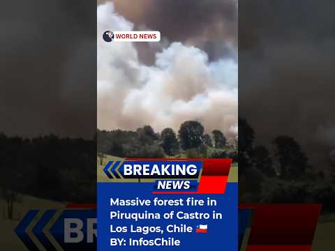Massive forest fire in Piruquina of Castro in Los Lagos, Chile 🇨🇱 #worldnews #shorts