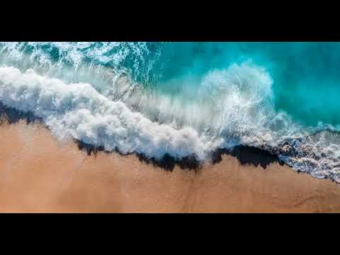 BUKAL ALUN - Pidang & Treast ( KARAOKE )