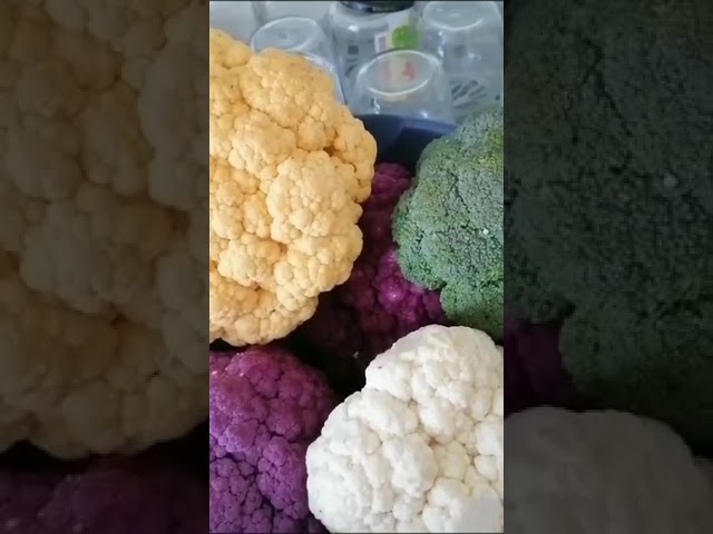 Әхх, тәмле дә килеп чыга инде