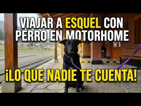 ASH T2E20 Viajar a ESQUEL con PERRO en Motorhome: Lo que NADIE te cuenta 🐶🚐