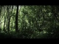 Youtube-Video
