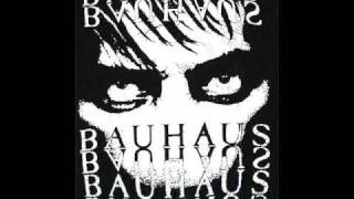 Bauhaus - Monkey (Poison Pen)