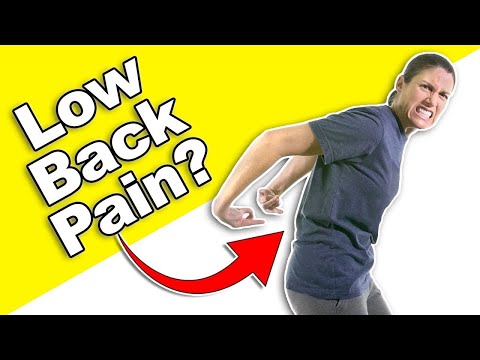 7 Best Knee Strengthening Exercises Ask Doctor Jo