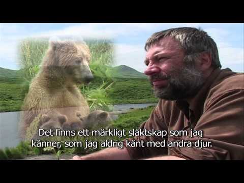 Att leva i björnland