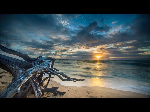 AlexMo & R.E.L.O.A.D. — Devils Dance (Original Mix)