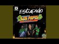 Estupido