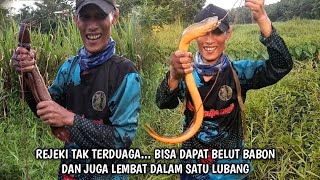 Download lagu REJEKI NOMPLOK‼️ BISA DAPAT BELUT MONSTER DAN LEMBAT BESAR DALAM SATU LUBANG mp3