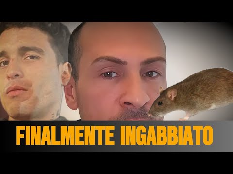 👉 ARRESTATO DON ALI', IL COMMENTO DI FEDERICO ROSSI: "FINALMENTE IN GABBIA." 👏