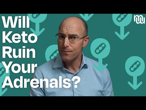 The Impact of Ketosis on Cortisol Levels and Adrenal Function
