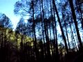 Way To Uttarkashi