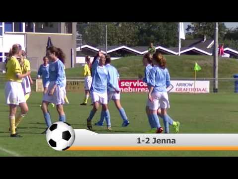 Samenvatting Hermes DVS MO15-1 -  Spirit MO15-1