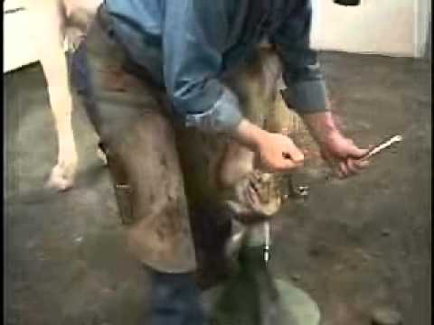 Slide 3 - Hoofjack Draft Post w/Rubber Cap  (video)