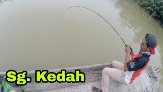 preview picture of video 'Casting Toman di Sungai Kedah - Lupa password henpon lepas strike mama'