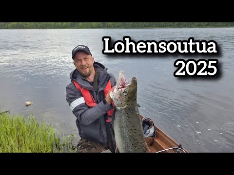 Lohta Muonionjoelta - Elämäni lohi!!