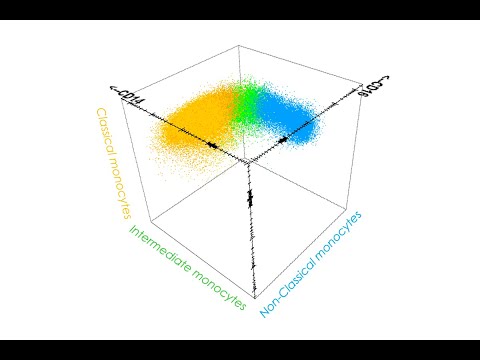 Blood Monocyte subsets in clinical practice - Invited Speaker - Daniela Damasceno