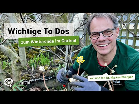 Wichtige Garten-To-Dos zum Winterende | gardify Tipps