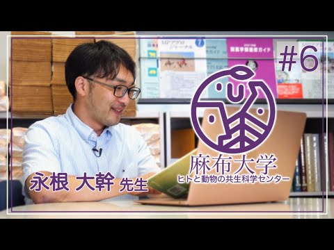 ポリ有機酸と酪酸菌によるシンバイオティクス製剤の開発