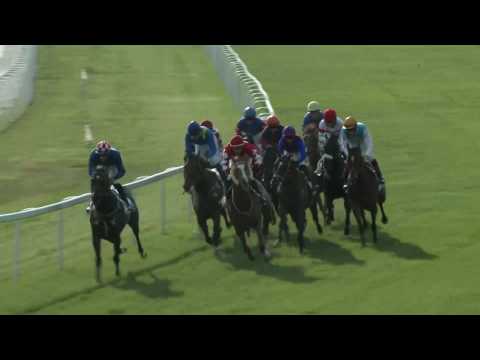 2017.06.11. 8. futam - DIÓSPUSZTAI DÍJ (I.kat.)