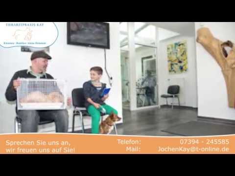Tierarztpraxis Kay YouTube-Vdeominiatur 4