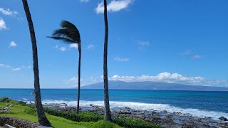 Idyllic Maui: A Journey Through Tropical Bliss (Part 2)