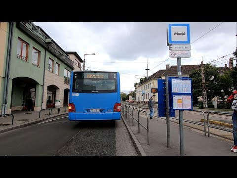 Budapest 241-es járat; Lomnici utca - Savoya Park