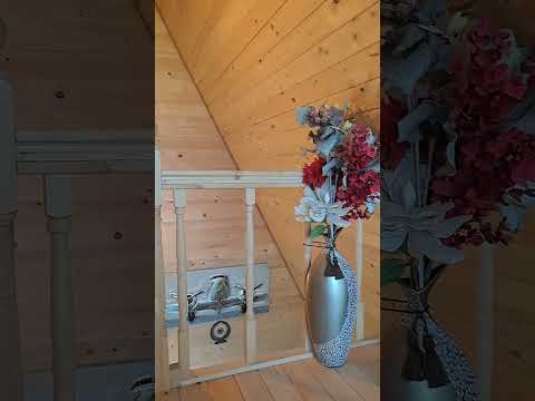 Un loc minunat în mijlocul naturii CABANA 365 o locație premium la un preț foarte bun.