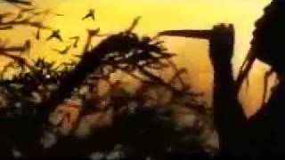 SHADOWS FALL - In Effigy (OFFICIAL VIDEO)