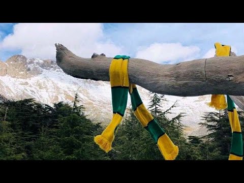 CHANT ULTRA KABYLIE BOYS 59'🇯🇲 | "22/10"🔥