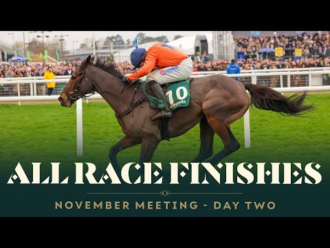 All race finishes from day 2 of The November Meeting at Cheltenham racecourse
