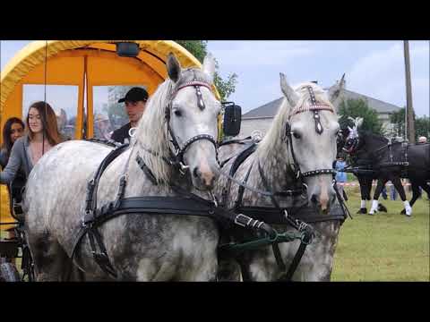 III Amatorskie Zawody w Powożeniu Klukowo 2017