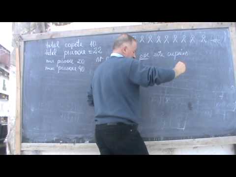 3/7 Lectia 35 Matematica cu Proful Online De la fractii la expresii algebrice De ce se fac sisteme?