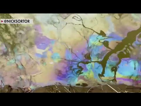 Ohio toxic train derailment: Video of possible severely polluted creek