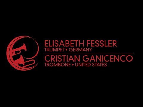 Rondo alla Turca, W.A. Mozart, arr. Elisabeth Fessler, performed by E. Fessler and C. Ganicenco