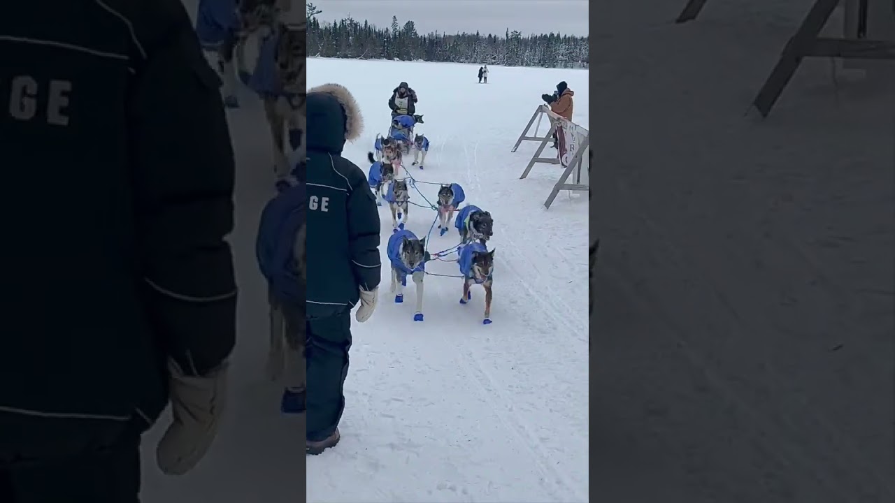 Erin Altemus ’97 at Beargrease Marathon