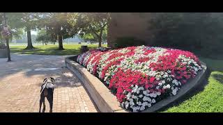 4k 30fps  Video Moto Edge 2022 ( Free Phone )